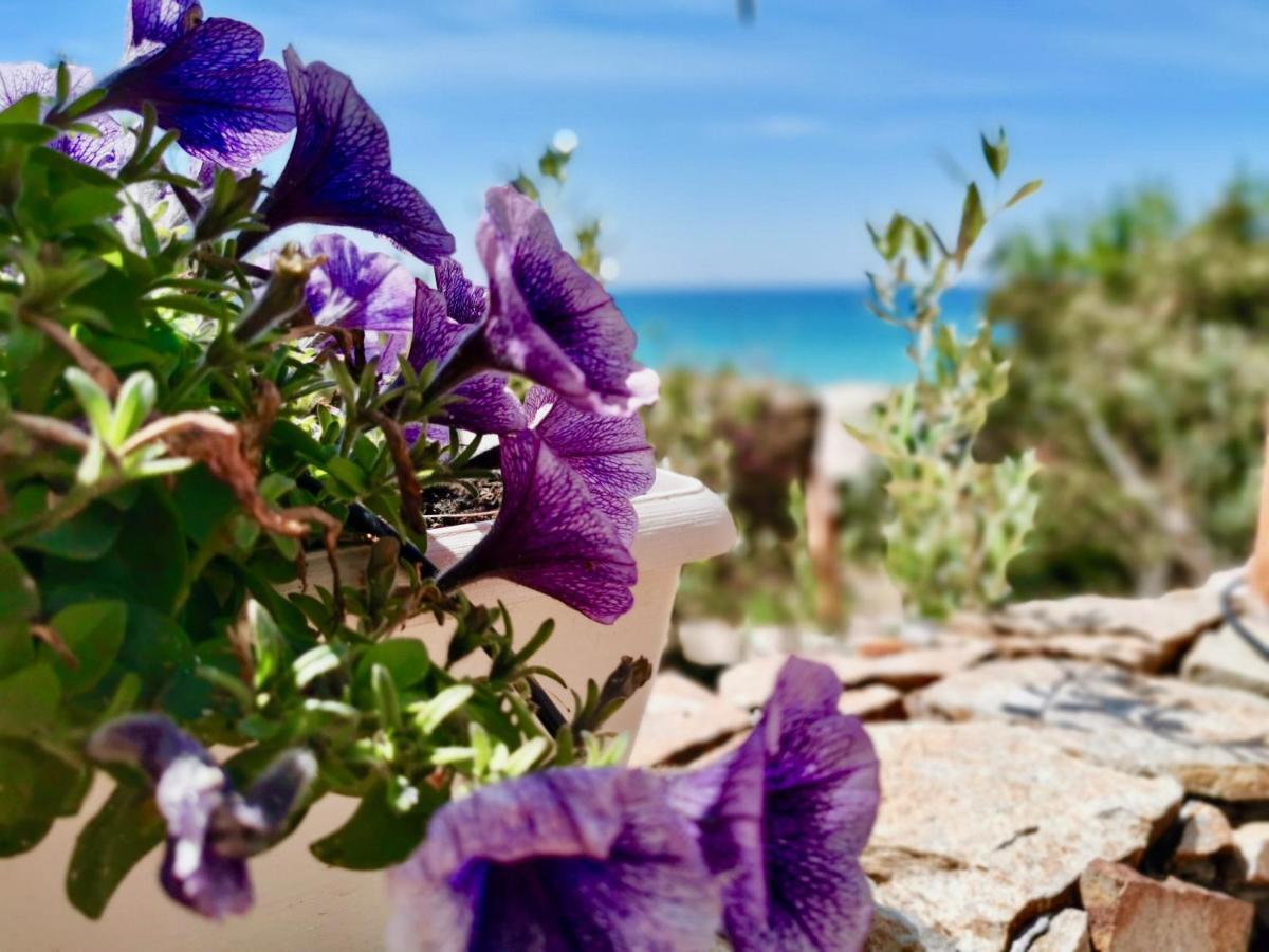Beachfront House Geremeas Sardegna Apartment Екстериор снимка